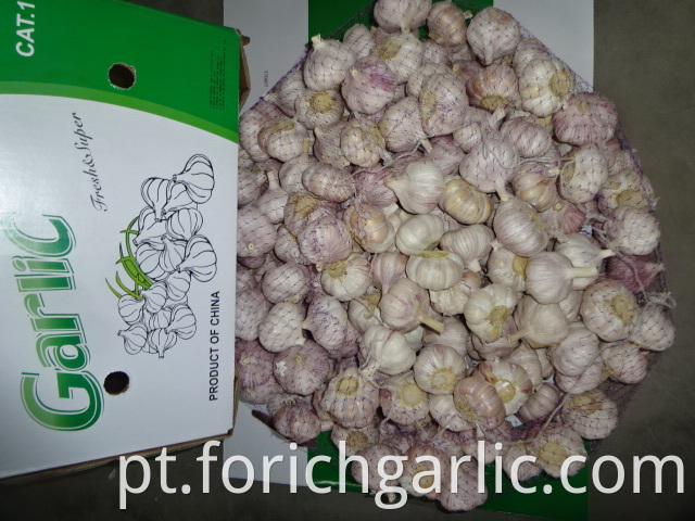 Normal White Garlic Jinxiang 2019